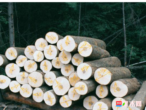 anywood.com
