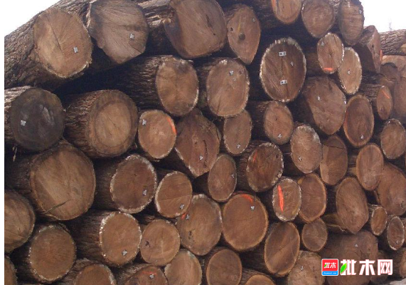anywood.com