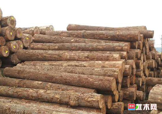 anywood.com