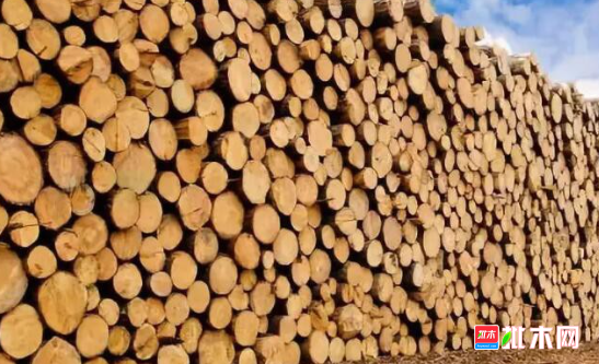 anywood.com