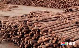 anywood.com
