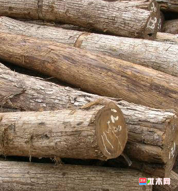 anywood.com