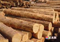 anywood.com