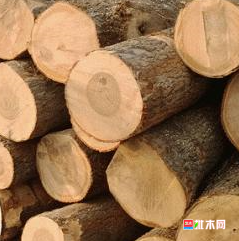 anywood. com