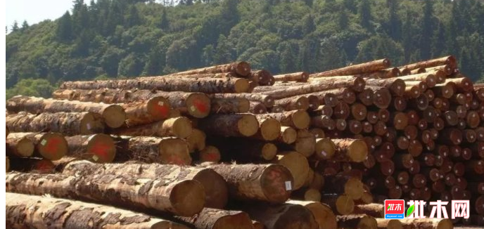 anywood.com