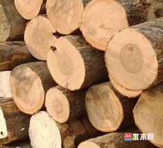 anywood.com
