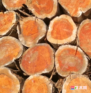 anywood.com