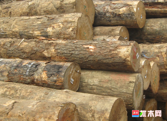 anywood.com