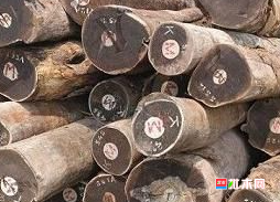 anywood.com