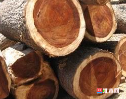 anywood.com