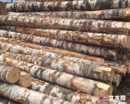 anywood.com