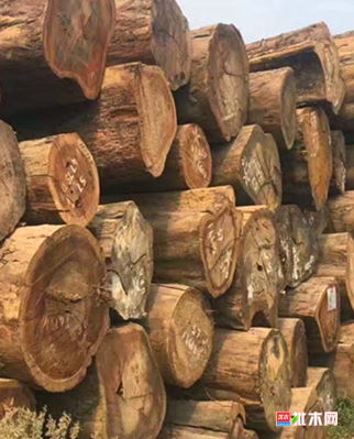 anywood.com