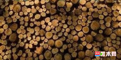 anywood.com