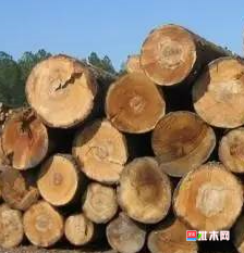 anywood.com