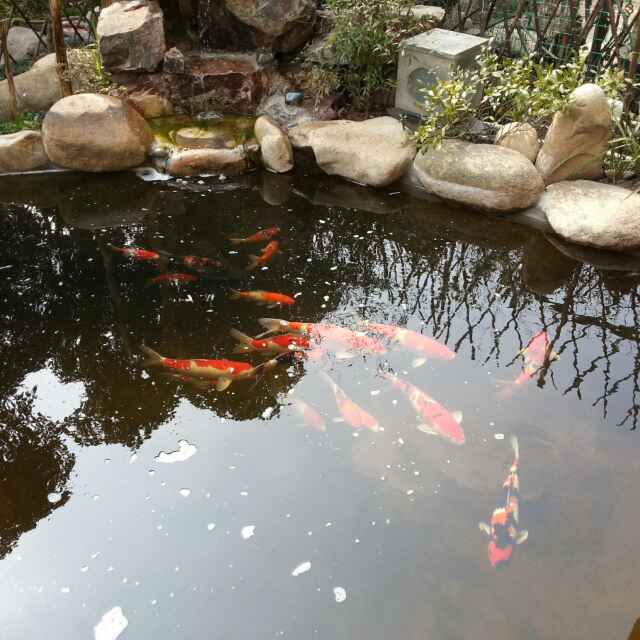 张人天