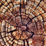 莆大木材贸易木材加工厂