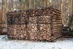 Big Tree Lumber