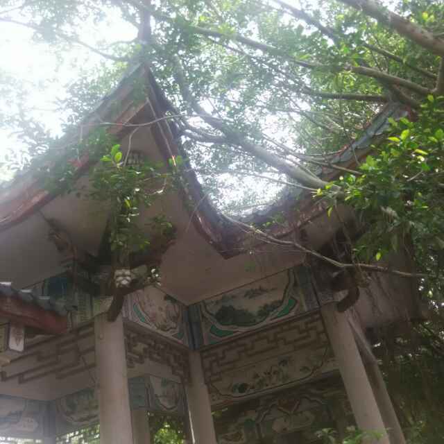 伟良