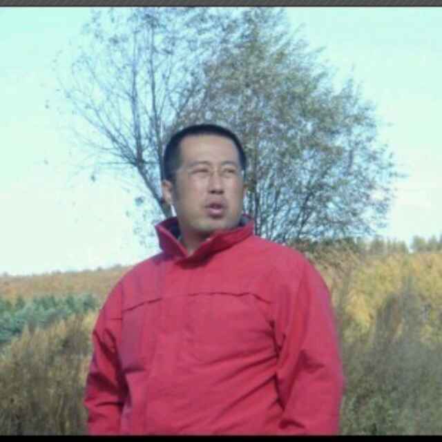 A 金哲
