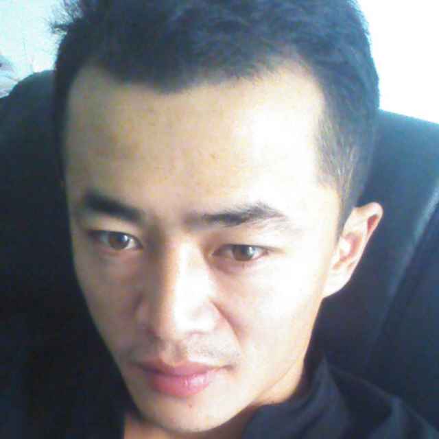 智