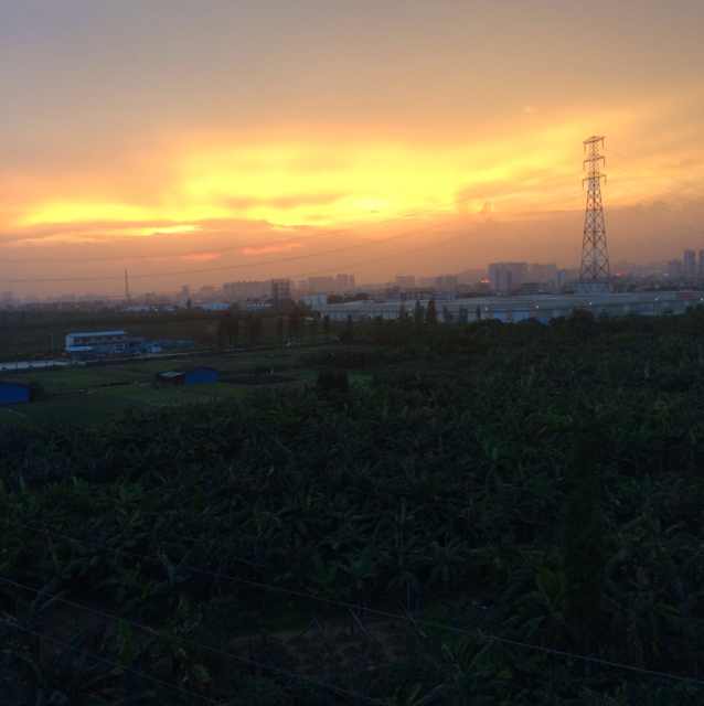 Xi     弟