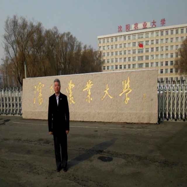 吴金土
