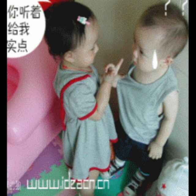 单霁柳