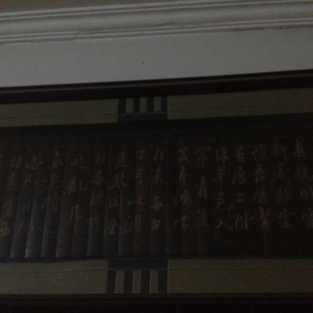 飞   翔