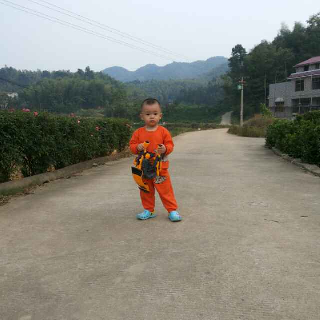 陈圆圆