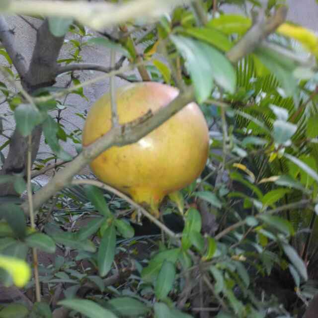 牵挂