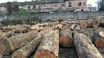 等待……续集