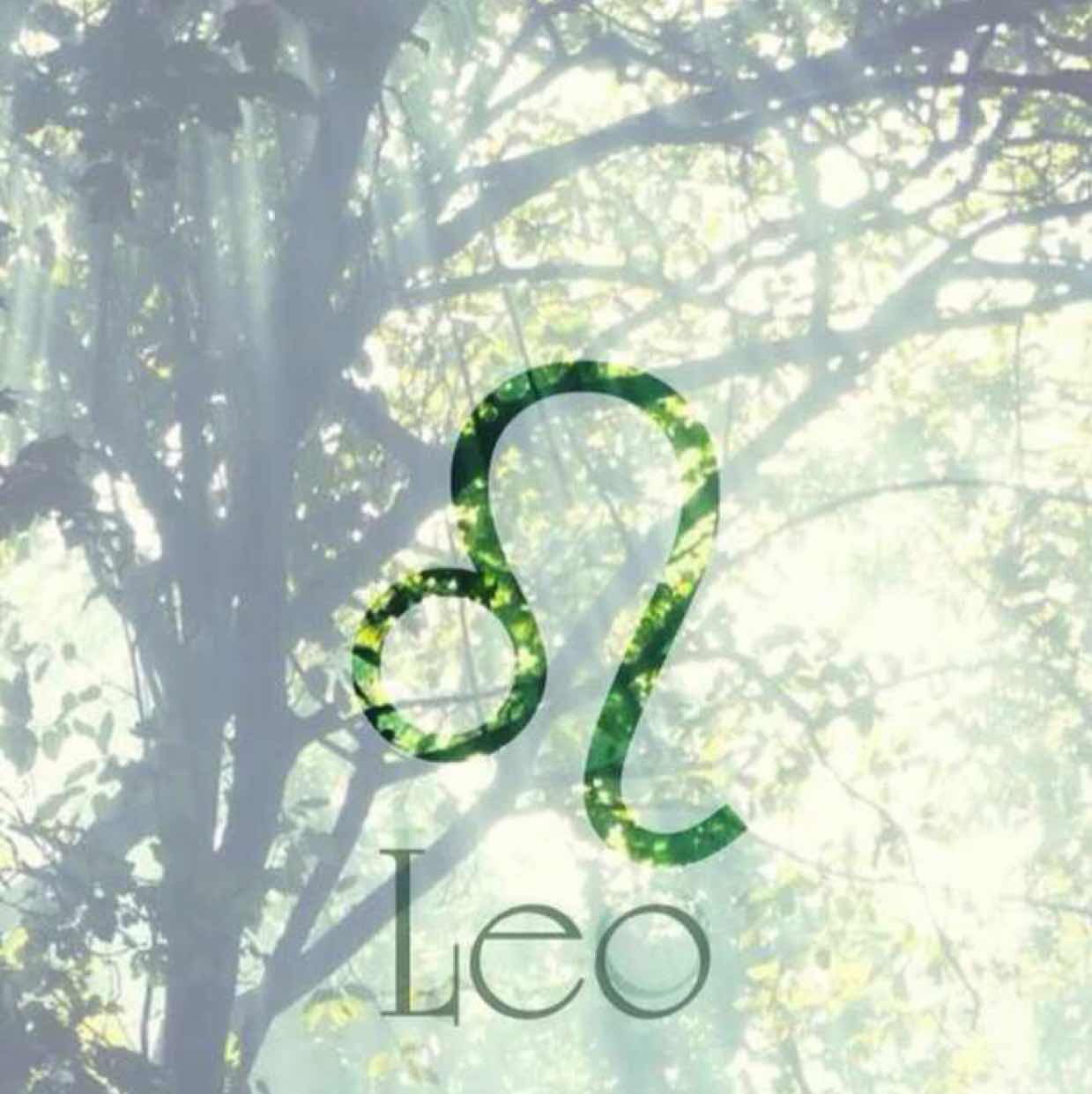 林江徽