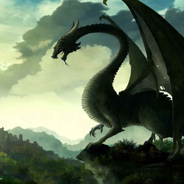 DU