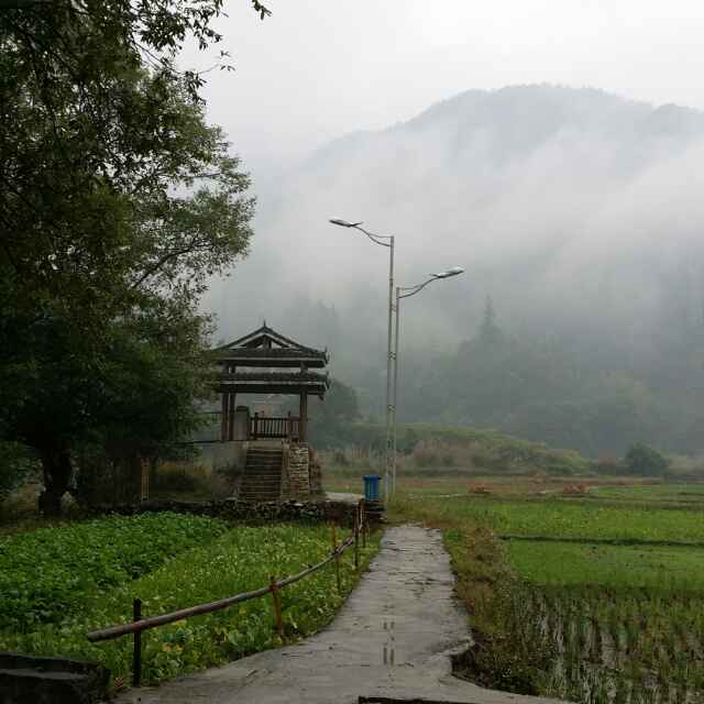 楞达