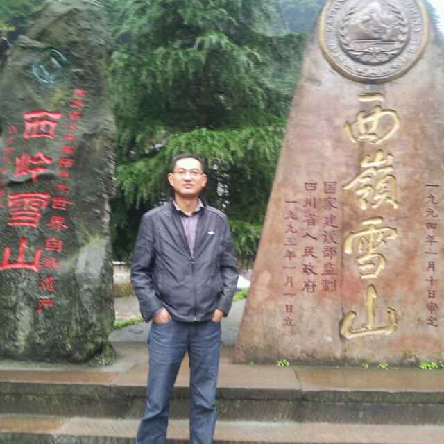 任我游