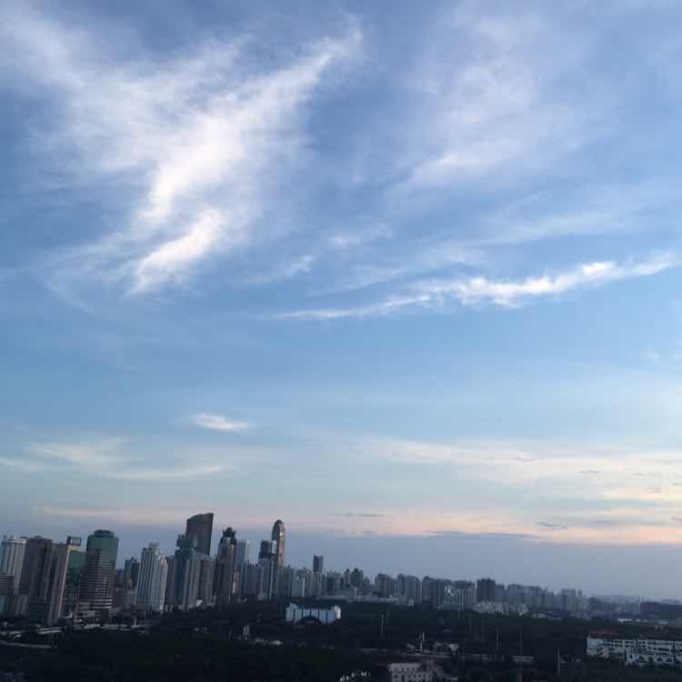 善云红木朱艺杰