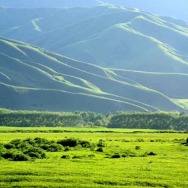 雪落无声
