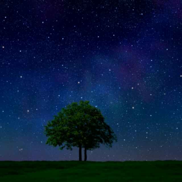 黑夜有天陪