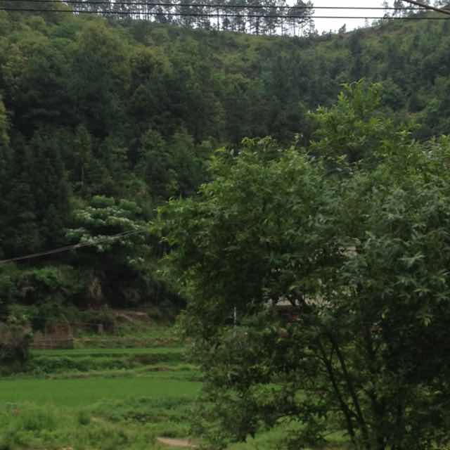 富和
