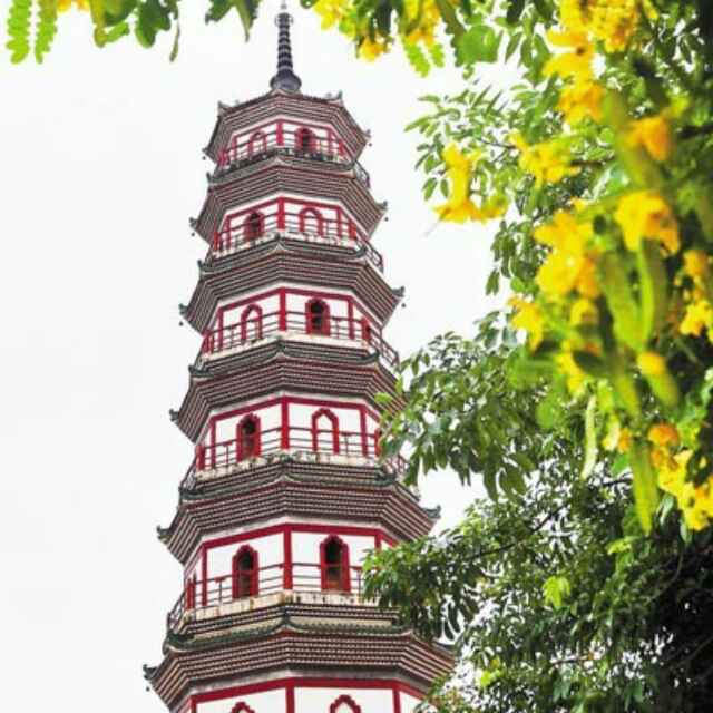何时