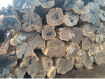 非洲进口木材直供