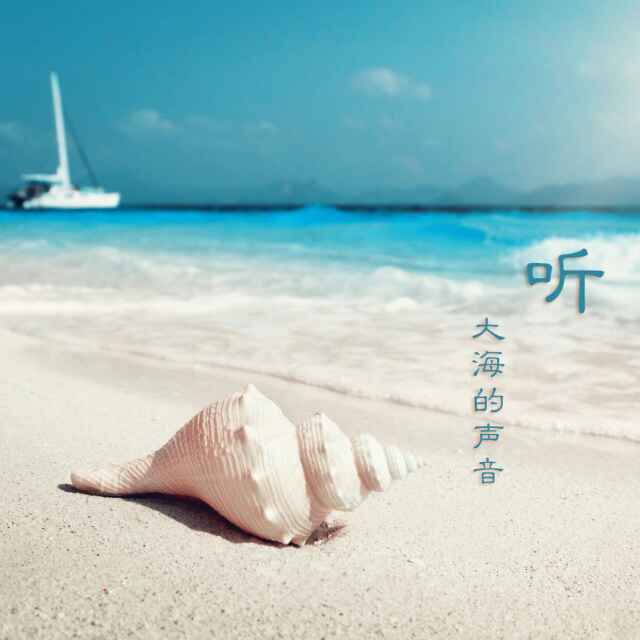 安玮寒