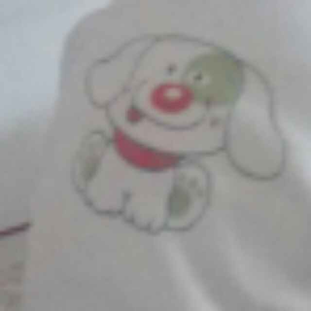 …………