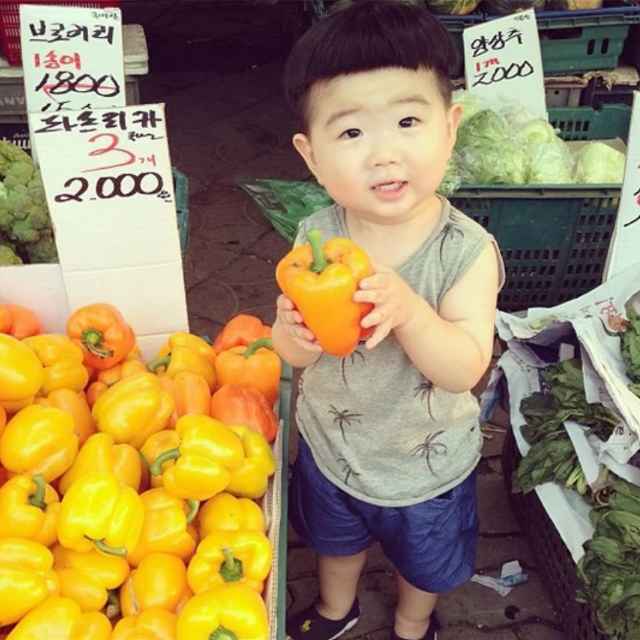 有大量杉木出售
