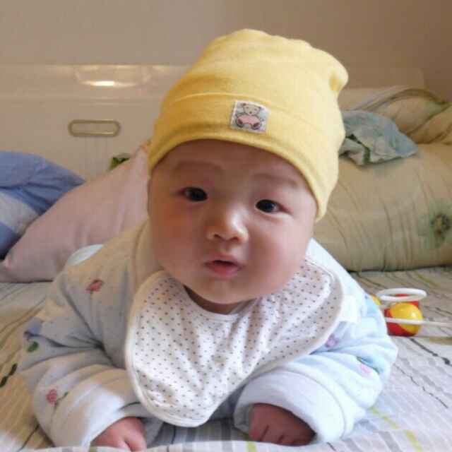 四川洪雅南林木业