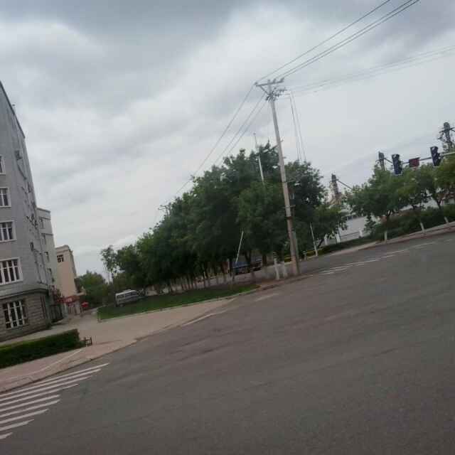 意林