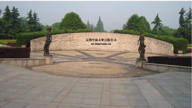 中林木业www.zhonglin