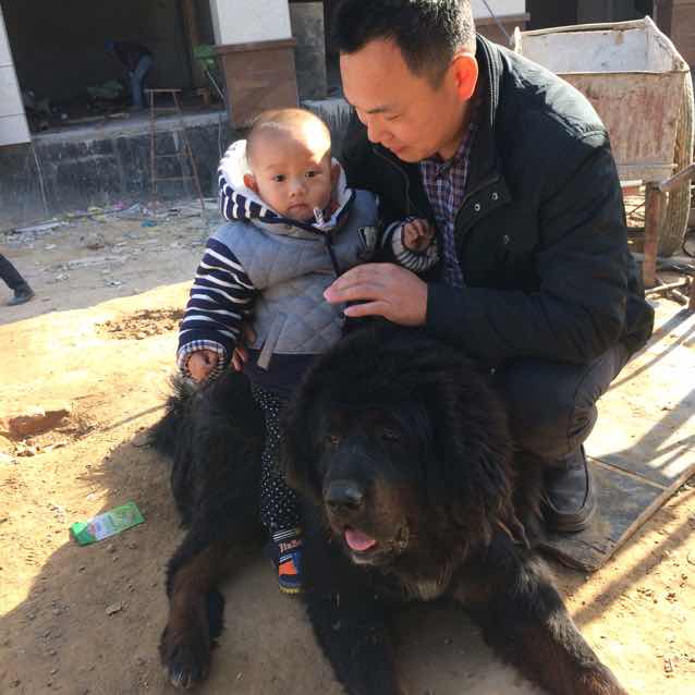 张新华