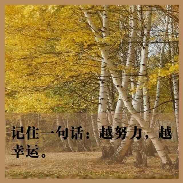 拓民木业