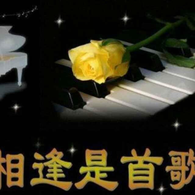 爱好木材